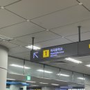 [공지] 마곡 감자와 눈사람 김란 원장님 후기 및 난임검사 비용 정보