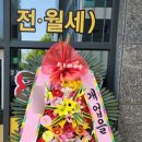 헤이리프