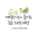 오서산억새풀마을 영농조합법인 | 계절 따라 즐기는 농촌 체험 여행 – 딸기 따기, 감 따기, 벼 베기 체험