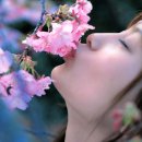 진국이찔레네 이미지