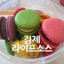 라이프소스