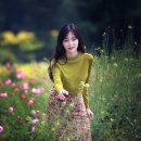 나에게는 확고부동한 주의주장이 있습니다. 이미지