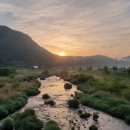 일출농원