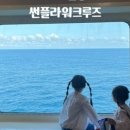울릉푸른나무
