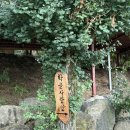 학골사랑방 | [충남/공주] 강아지와 함께하는 촌캉스, 가성비 넘치는 학골사랑방