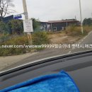 자네와 펫