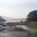 부래도