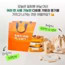 수원-0053 이미지