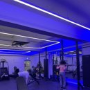 바비스튜디오 | 석촌피티샵 플랜에이스튜디오에서 바비쌤 힙업 클래스 후기