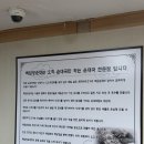매일왕순대 | 여의도 점심 맛집 <백암왕순대 여의도점> 후기