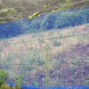 윤성농장 이미지