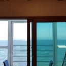 바다비행사 이미지