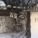 옛날손칼국수 이미지