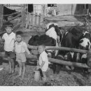 마산가축병원 이미지