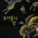 곰토끼