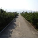 가야진사공원 축구장 이미지