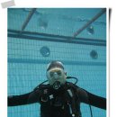 올림픽수영장 이미지