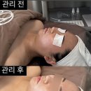에르떼앙 에스테틱