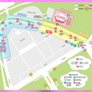 2024 나루랑 버스킹 | "실망이다" vs "인생샷 건졌다"...2026 윤중로 벚꽃, 실제 후기 비교