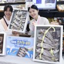 돈금축산 스포츠조선