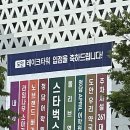 도안우리약국 이미지