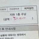 해운대 백병원 앞 | 2026 호주 학생비자 승인! ㅣ 학생비자 subclass500 신청 서류 제출 타임라인 해운대백병원 후기