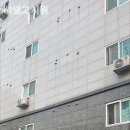 샤넬고시원
