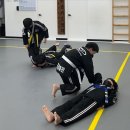 장지합기도 강류관 이미지