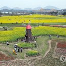 낙동강변 축구장 2 이미지