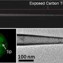 손쉽게 세포 속을 탐침할 수 있는 가장 작은 탄소나노피펫 이미지