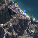 백두산체육관 | [삼척가볼만한곳] 가족나들이 명소 &lt;삼척해변 국화전시회&gt; 관람후기