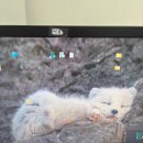 Full Love (A) | A Year full of love &amp; happiness