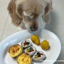 퍼스널댕댕 이미지