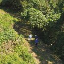 장수사슴목장 이미지