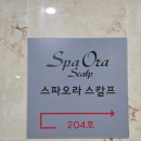 세종스파 피부관리실 | [세종 나성동] 스파오라스칼프 :: 1:1 맞춤 피부관리 찐 후기