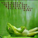 개굴개굴 Daum카페