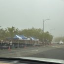 (주)이비아이대구지점 | 대구 비슬산 참꽃축제 후기 | 주차부터 셔틀, 개화현황까지 꿀팁 총정리