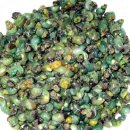 시골다슬기 이미지