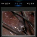 자연그대로 | 길음동 미용실 바이움트헤어에서 자연 그대로의 유기농 제품 햄프닉으로 두피관리 후기 !!
