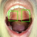 안치과의원 이미지