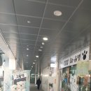 고옴탱