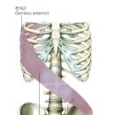 포드짐 남산점 이미지