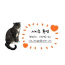 이마트24 R춘천후평카페점 | 춘천 데이트 풀코스 추천 / 남촌막국수 / 이모네불막창 / 국립춘천박물관 / 미디어아트 / 세계주류마켓...