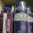 수지침&쑥뜸 | 허리 아픈 고객님이 찿는 아이템들