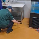 그린라인 이미지