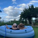 다시청춘민박 이미지