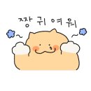 네일솜그라운드
