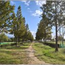 일원본-106 이미지