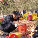 노좌3리 이미지