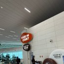 인천공항 제2터미널 맛집 고메브릿지 차돌된장찌개 내돈내산 후기